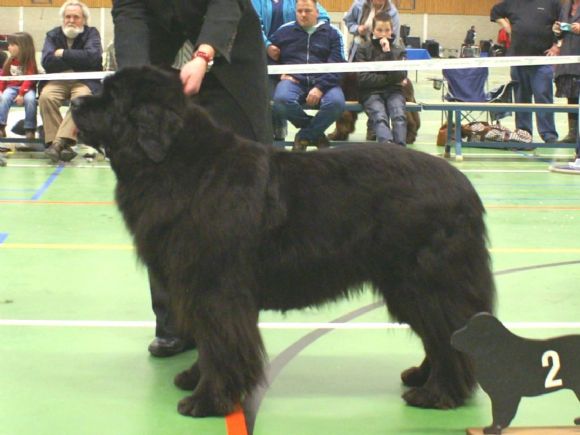 T Zenna v.h. Hoogveen (25-01-2006)